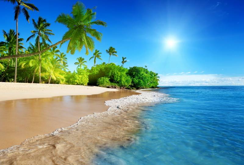 Что объединяет пляжи на курортах Атлантического Океана Карибского региона?